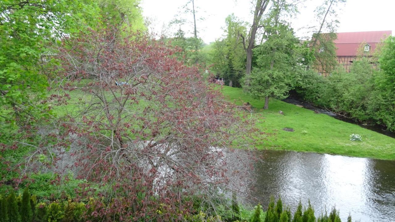 Villa An Der Bode Thale Extérieur photo